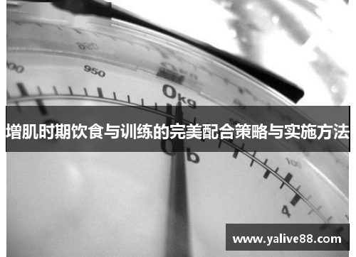 增肌时期饮食与训练的完美配合策略与实施方法